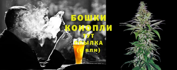 винт Осинники