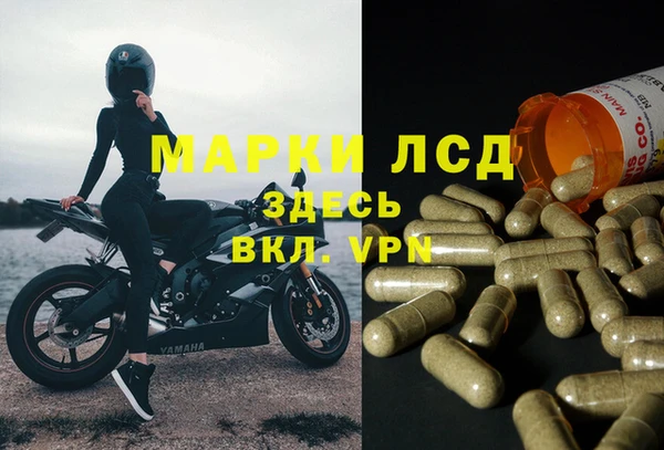 винт Осинники