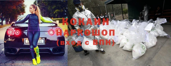 винт Осинники