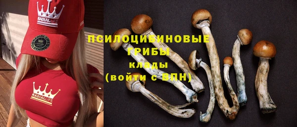 винт Осинники