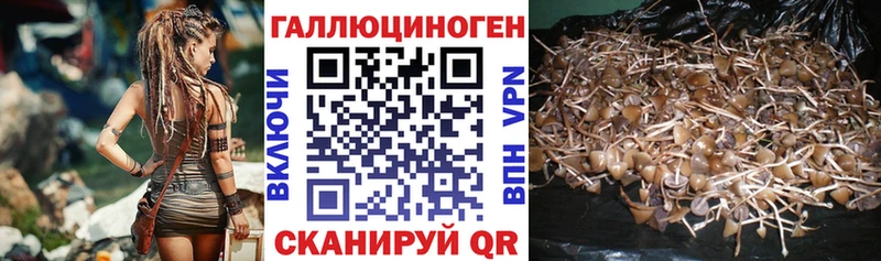 Галлюциногенные грибы GOLDEN TEACHER  Черемхово 