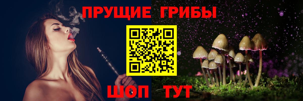 Черемхово  Псилоцибиновые грибы мицелий  Псилоцибиновые грибы MAGIC MUSHROOMS  Вход с VPN 